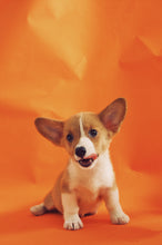 Load image into Gallery viewer, Dog